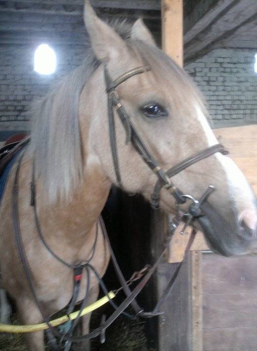laurette -