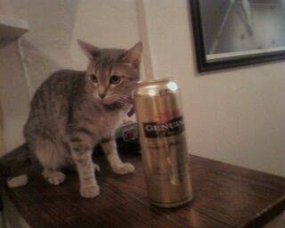 Smoky - (4 ans)