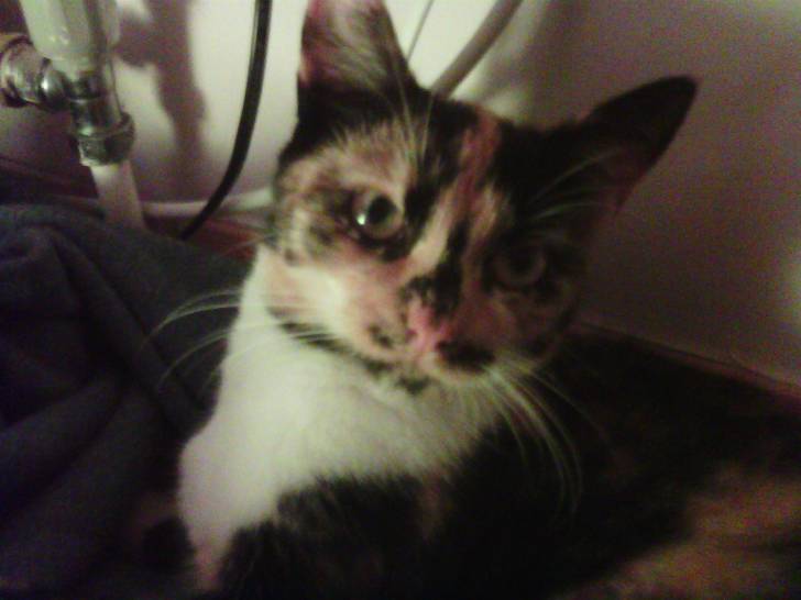 Ruby Tullula Wyatt - (2 ans)