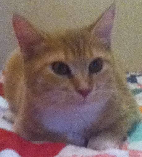 punkie - (1 an)