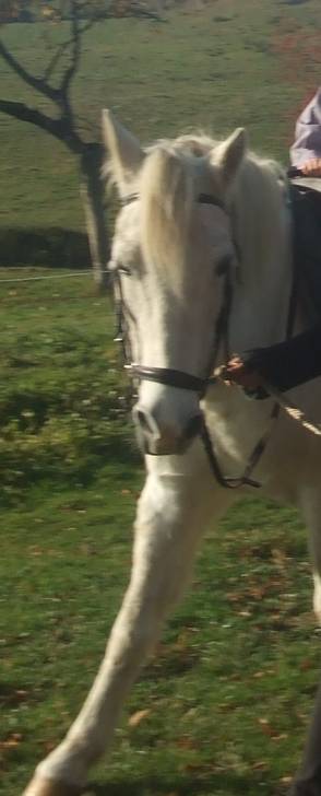 Zaa - (12 ans)