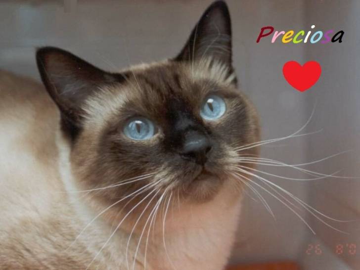 luna - (5 ans)