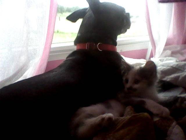Scooby&Baby - (1 mois)