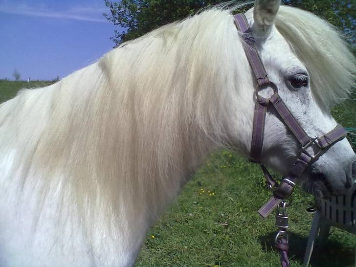 Flicka - (17 ans)