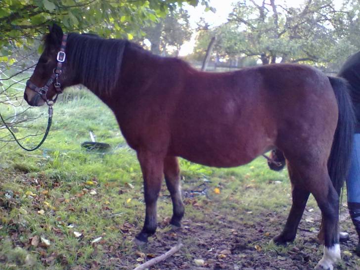 Cheyenne - (18 ans)