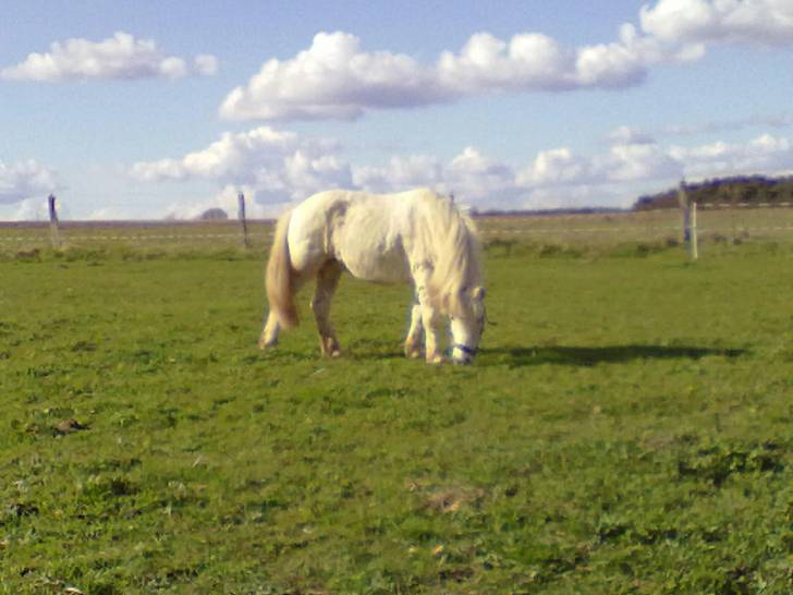 Flicka - (17 ans)