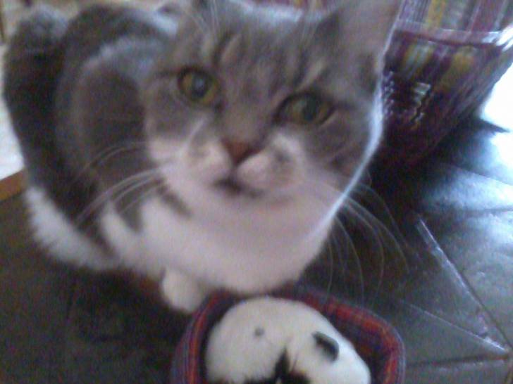 Tina - (13 ans)
