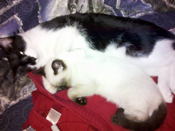 Jake and suzie Q -