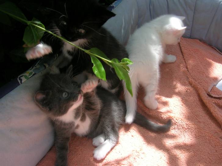 Poupouna - (2 mois)