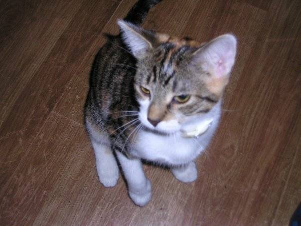 Sasha - (3 ans)