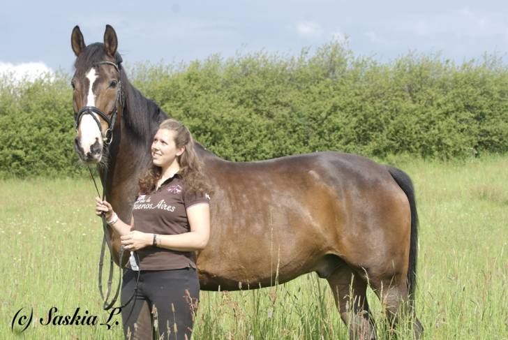 Primel - Mâle (14 ans)