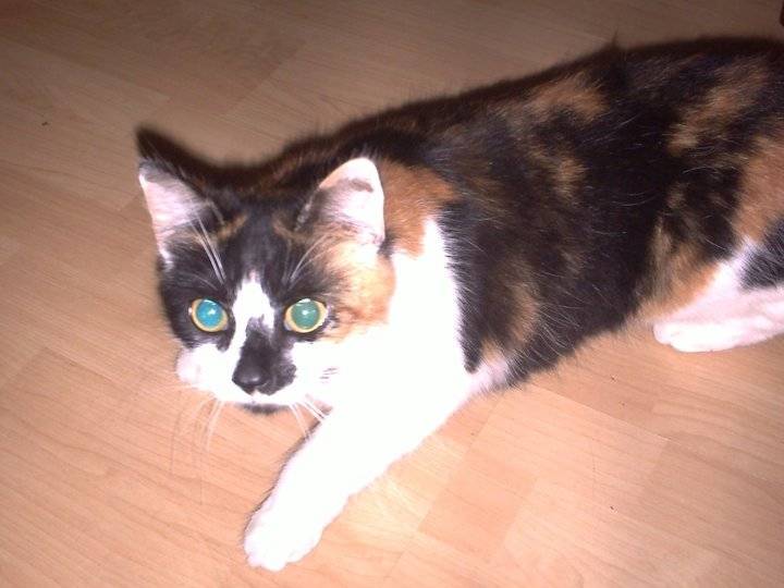 Camille - (3 ans)