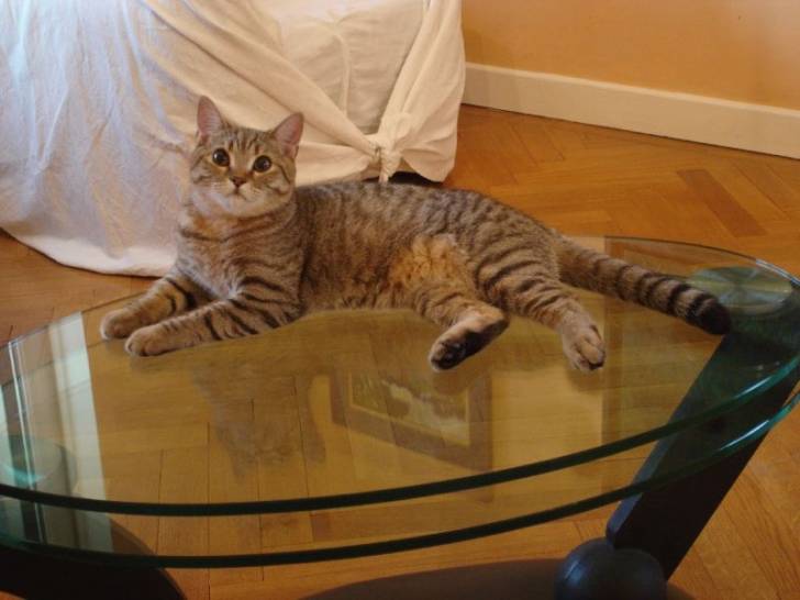 Fripouille - (2 ans)