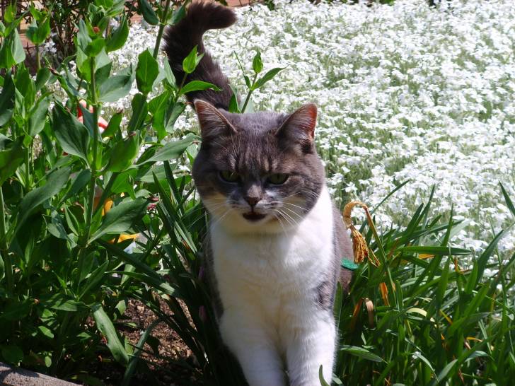 Tina - (13 ans)