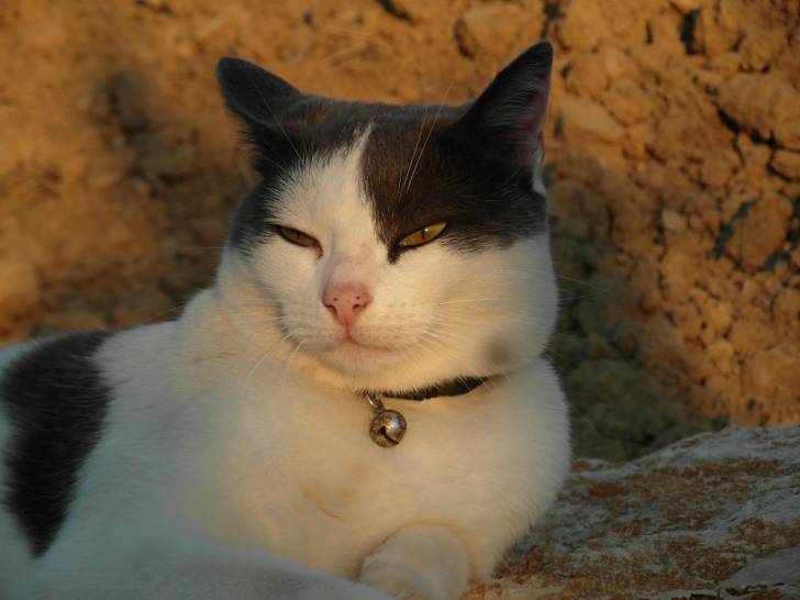 Color-junior - (3 ans)