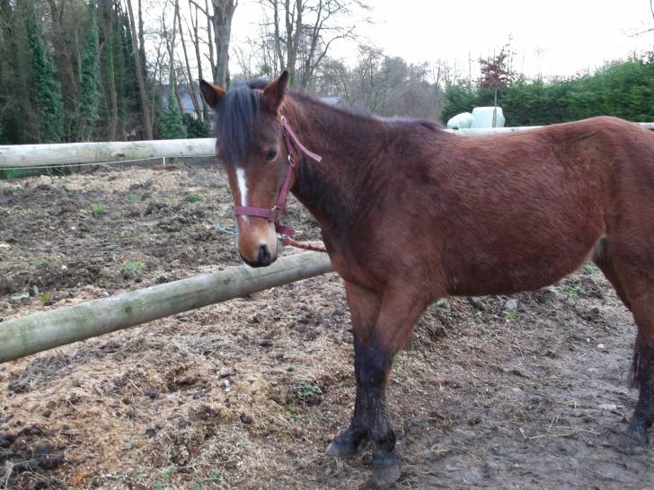 La vraie Utah - (4 ans)