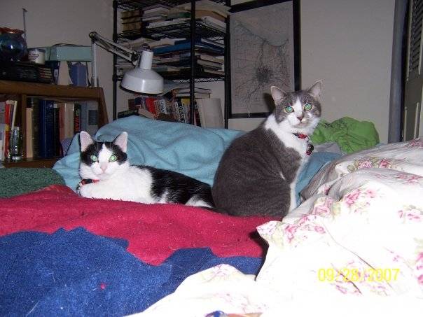 Misty and Nina - (6 ans)