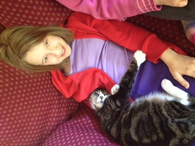 Tibbie - Mâle (15 ans)