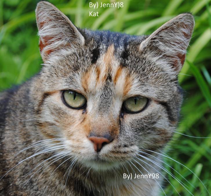 Marry - (4 ans)
