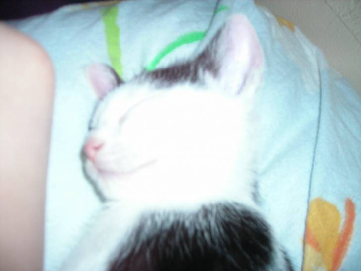 zimba - (6 mois)