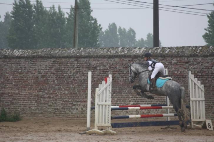 Torado - Mâle (5 ans)