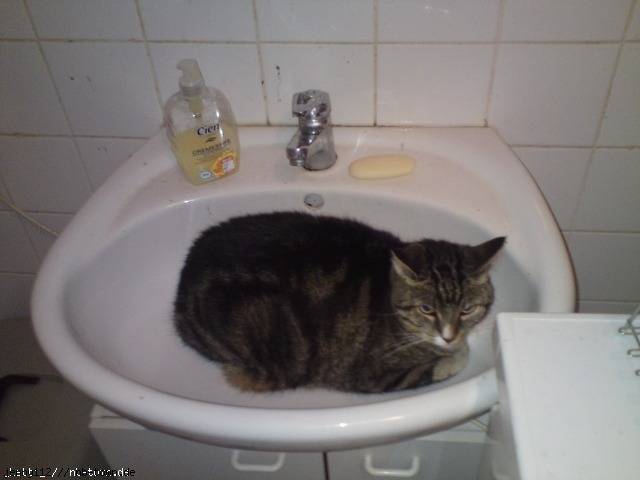 puschel - (8 ans)