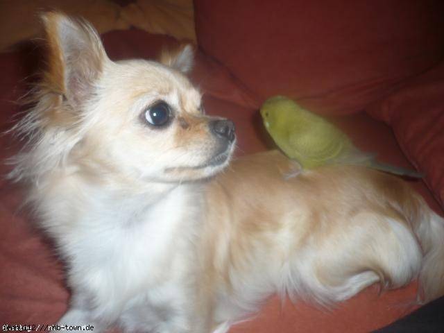 nicky und baby - (4 mois)