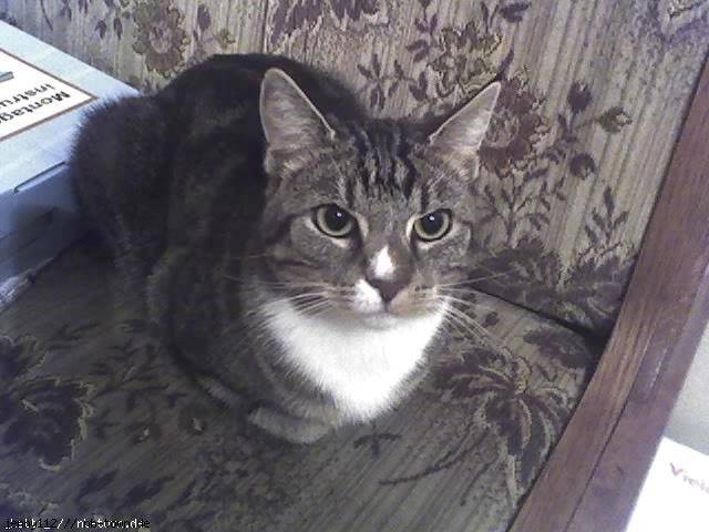 puschel - (8 ans)