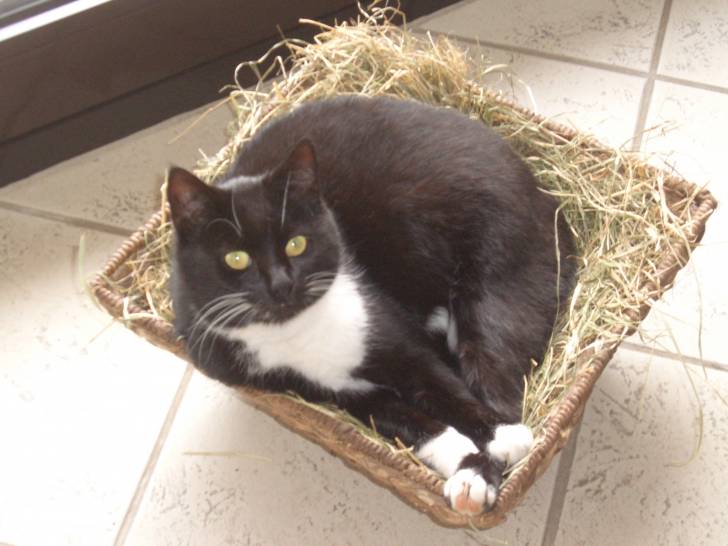 Luna - (4 ans)