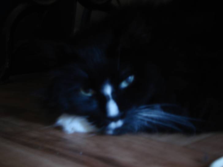 Boots - Mâle (10 ans)