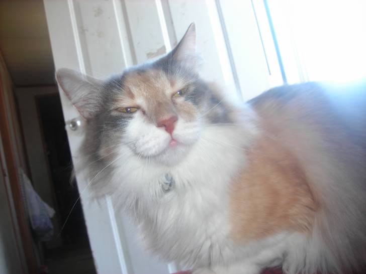 Liliy - (2 ans)