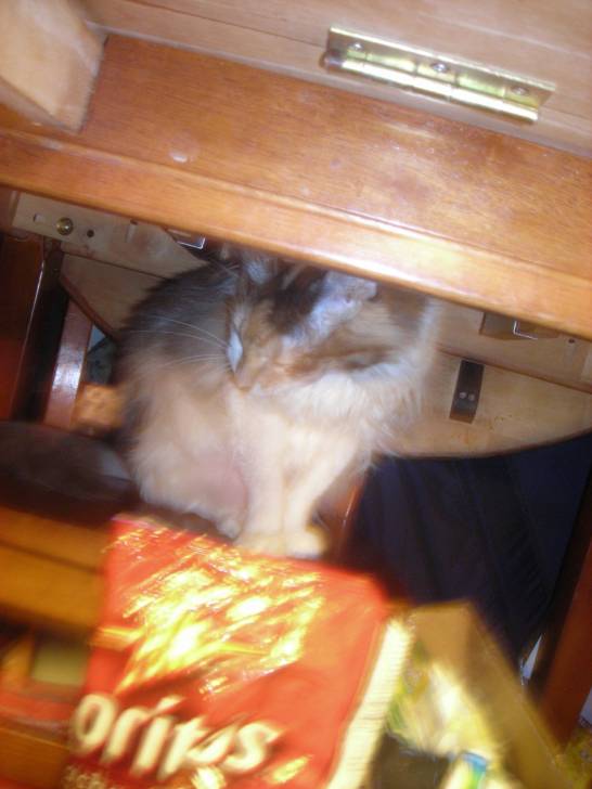 Liliy - (2 ans)