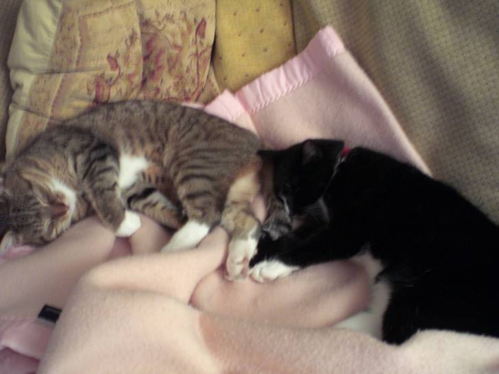 Milly and Bobbin - (3 ans)