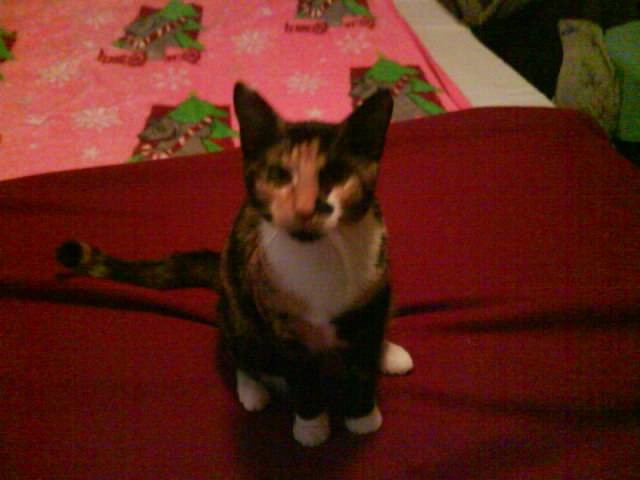 sally - (3 ans)