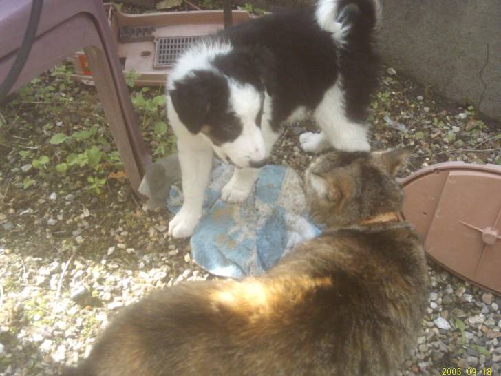 pouille et missy - (3 ans)