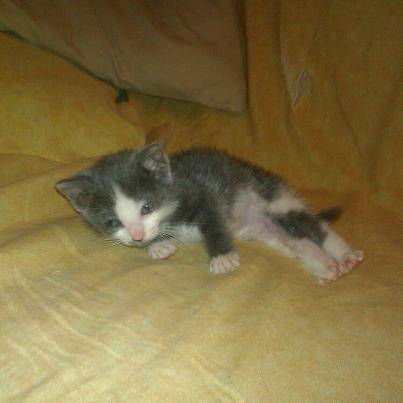 Lorena - (3 mois)
