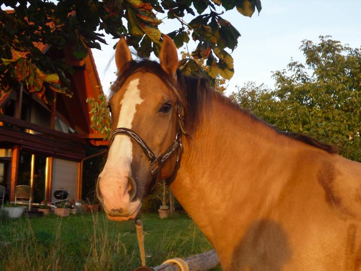 Katl - (5 ans)
