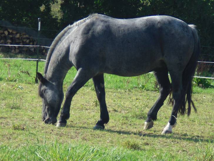 Moony - (5 ans)