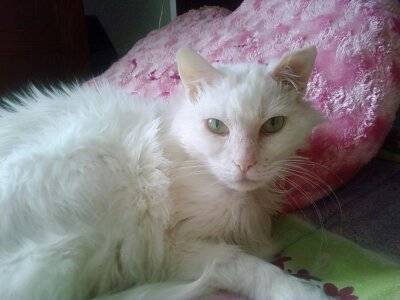 Missy - (16 ans)