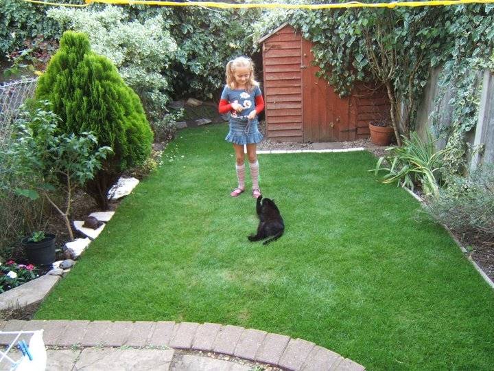 Kitty - (1 an)