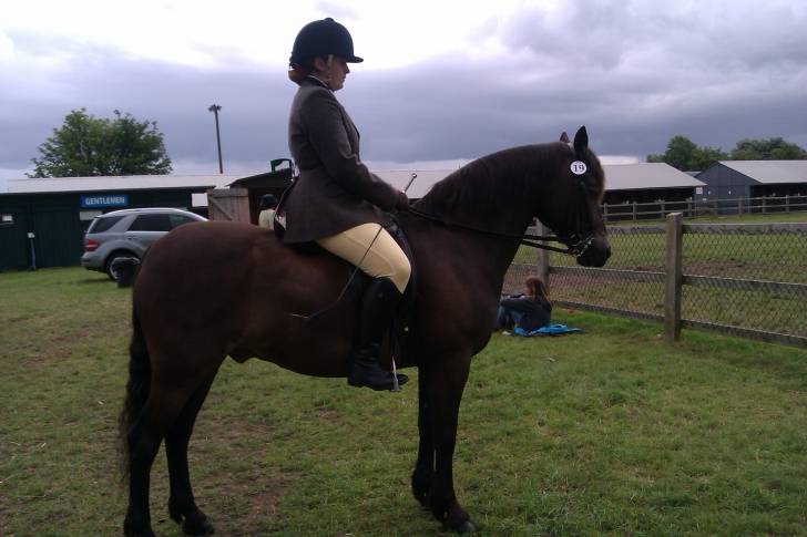 Eastlands Belt Knowe - Mâle (19 ans)