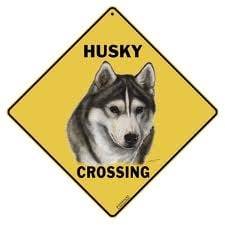 HUSKY - (2 ans)