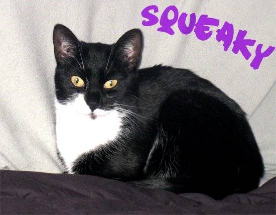 Squeaky - (4 ans)