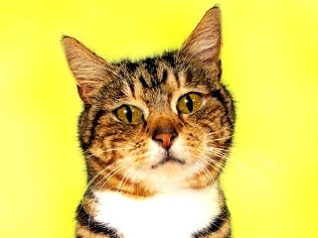 Tooty - (4 ans)