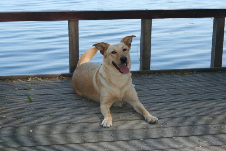 Roxane - (2 ans)