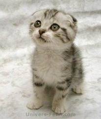 Luna - (6 mois)