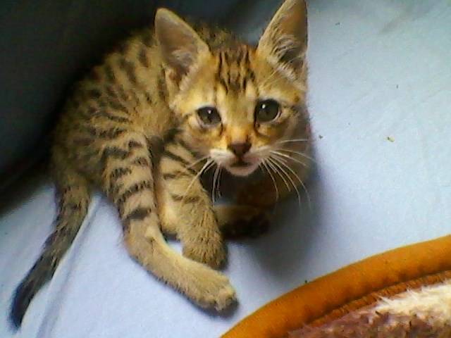 yunaa - (3 mois)