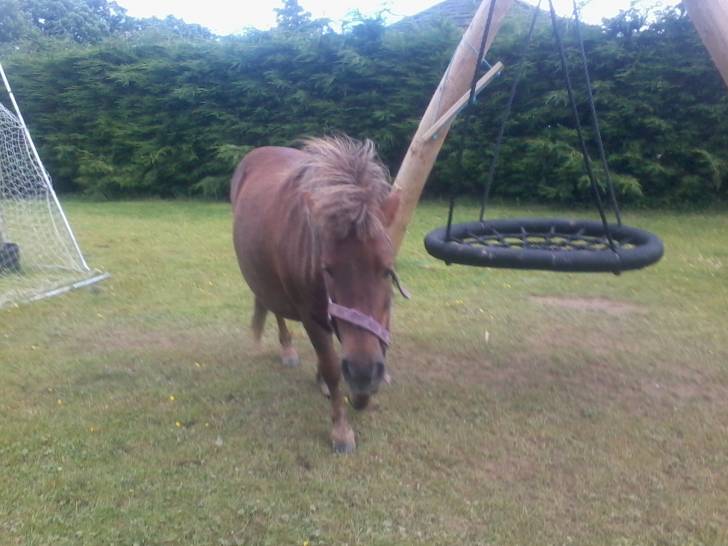 Cherry-belle - (6 ans)