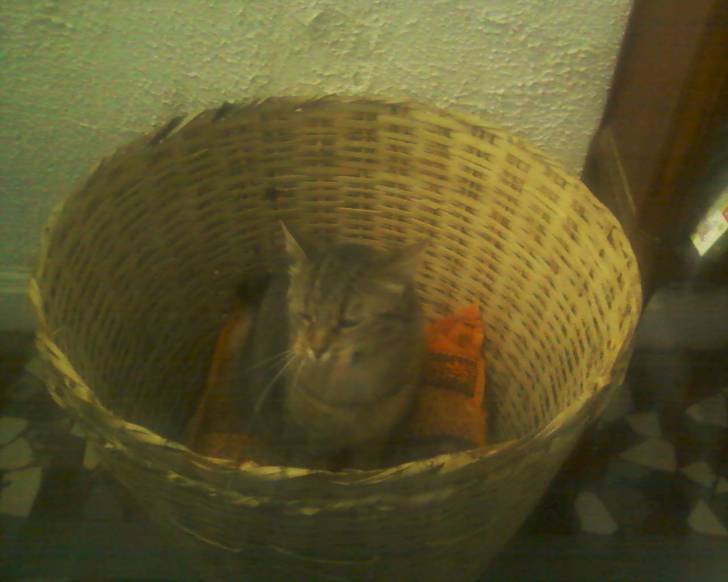 babou - (9 ans)