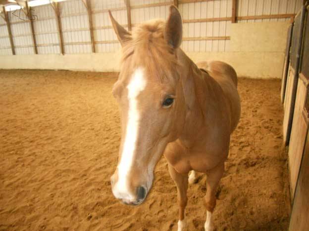 Maggie - (12 ans)